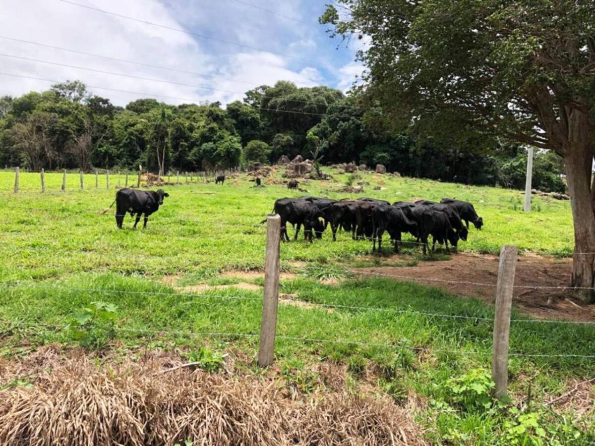 Sitio No Interior De Sp Para Curtir A Natureza อากวส ดา ปราตา ภายนอก รูปภาพ